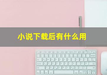 小说下载后有什么用