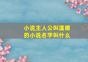 小说主人公叫温暖的小说名字叫什么