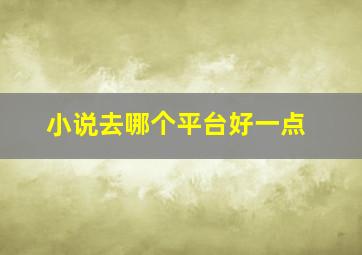 小说去哪个平台好一点