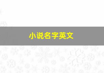 小说名字英文