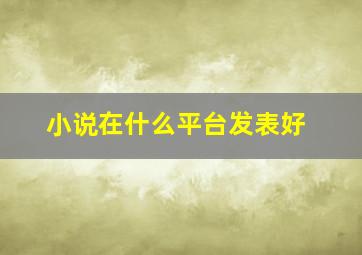 小说在什么平台发表好