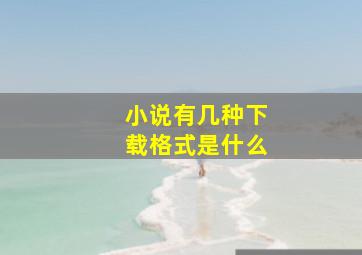 小说有几种下载格式是什么