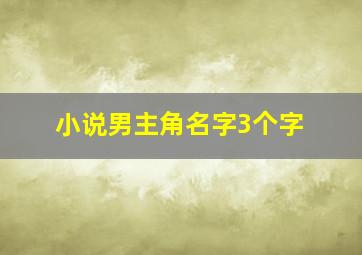 小说男主角名字3个字