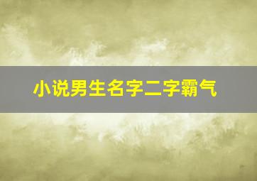 小说男生名字二字霸气