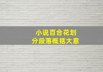 小说百合花划分段落概括大意