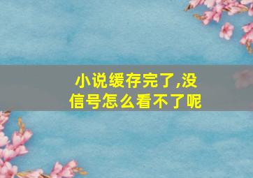 小说缓存完了,没信号怎么看不了呢