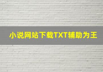 小说网站下载TXT辅助为王