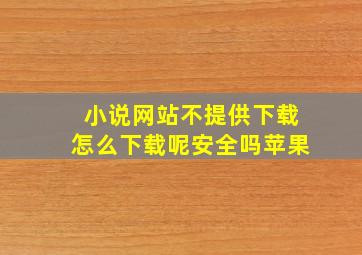 小说网站不提供下载怎么下载呢安全吗苹果