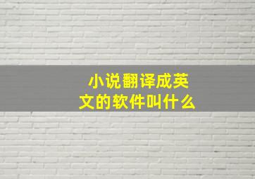 小说翻译成英文的软件叫什么