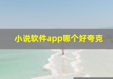 小说软件app哪个好夸克