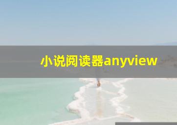 小说阅读器anyview