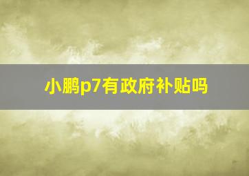 小鹏p7有政府补贴吗