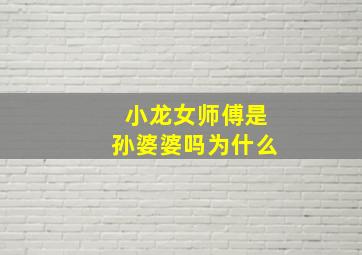 小龙女师傅是孙婆婆吗为什么