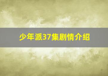 少年派37集剧情介绍