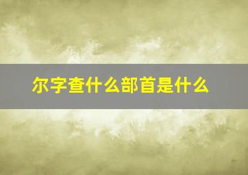 尔字查什么部首是什么