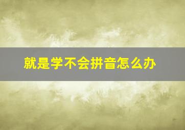 就是学不会拼音怎么办