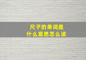 尺子的单词是什么意思怎么读