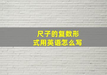 尺子的复数形式用英语怎么写