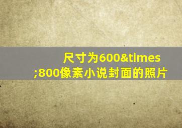 尺寸为600×800像素小说封面的照片