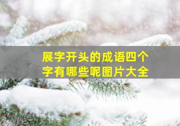 展字开头的成语四个字有哪些呢图片大全