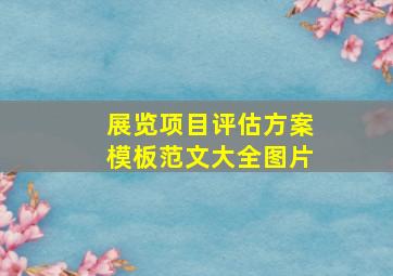 展览项目评估方案模板范文大全图片