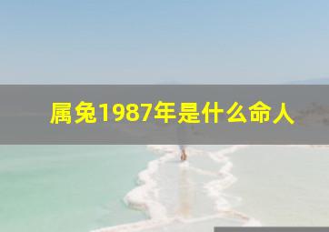 属兔1987年是什么命人