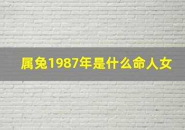 属兔1987年是什么命人女