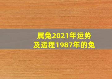 属兔2021年运势及运程1987年的兔