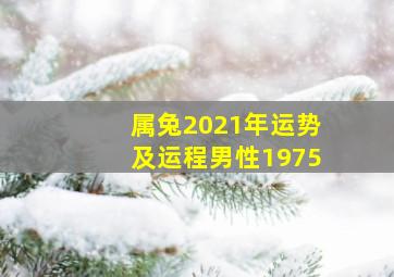 属兔2021年运势及运程男性1975