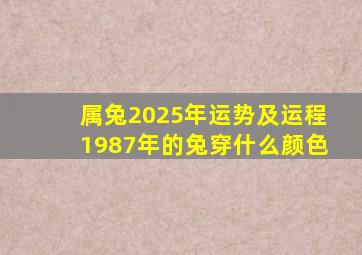 属兔2025年运势及运程1987年的兔穿什么颜色