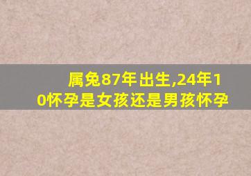 属兔87年出生,24年10怀孕是女孩还是男孩怀孕