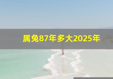 属兔87年多大2025年