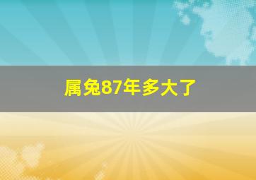 属兔87年多大了