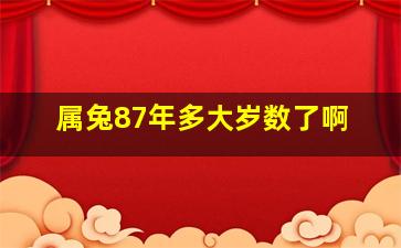 属兔87年多大岁数了啊