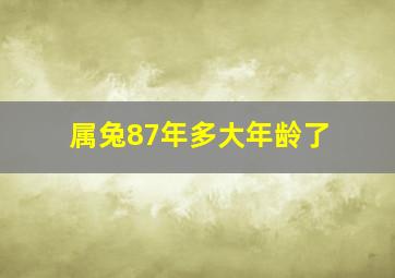 属兔87年多大年龄了