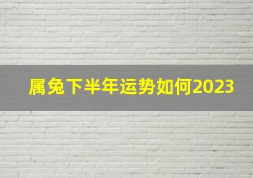 属兔下半年运势如何2023