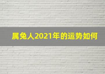 属兔人2021年的运势如何