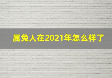 属兔人在2021年怎么样了