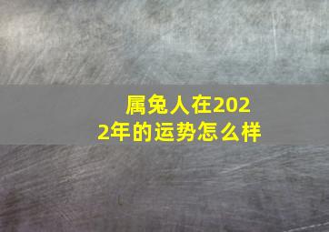 属兔人在2022年的运势怎么样