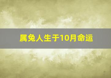 属兔人生于10月命运