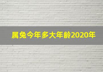 属兔今年多大年龄2020年