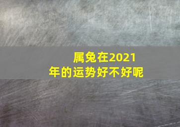 属兔在2021年的运势好不好呢