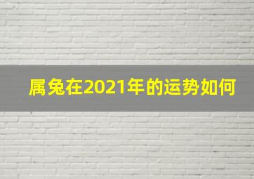 属兔在2021年的运势如何