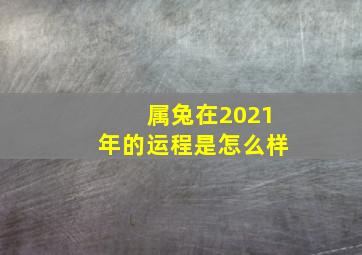 属兔在2021年的运程是怎么样