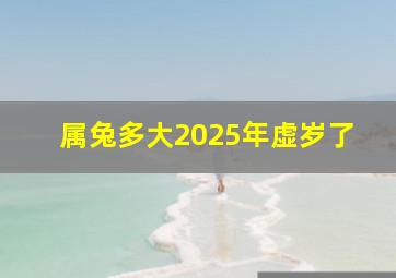 属兔多大2025年虚岁了