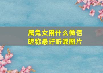 属兔女用什么微信昵称最好听呢图片