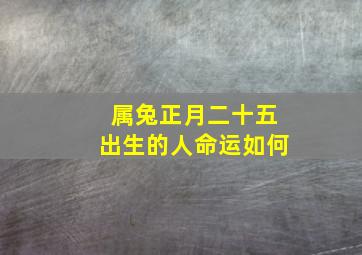 属兔正月二十五出生的人命运如何