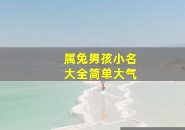 属兔男孩小名大全简单大气