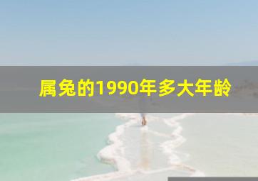 属兔的1990年多大年龄