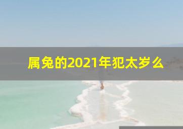 属兔的2021年犯太岁么